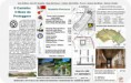 /album/download1/locandina-percorso-castello-29-05-15-2-jpg/